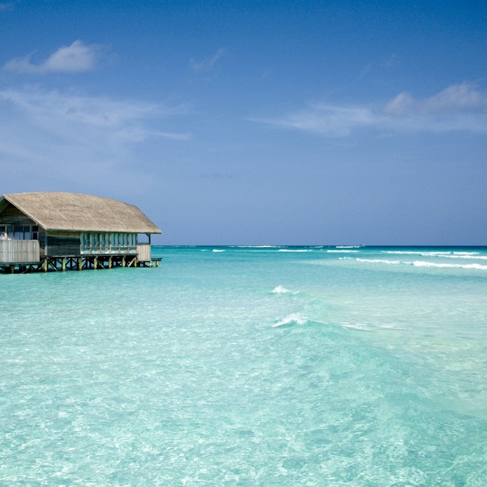 Meet your Posher, Claressa